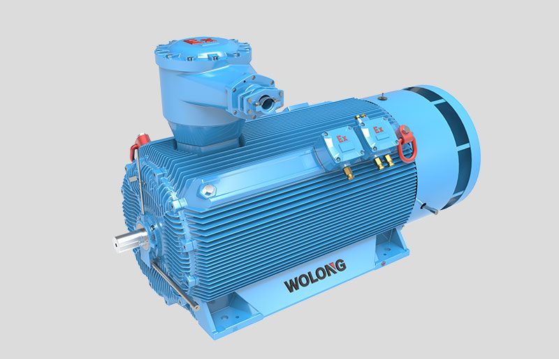 緊湊型三相異步電動機(TEFC)